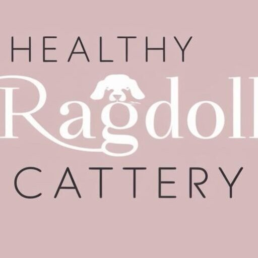 A logo. Healthy Ragdoll cattery